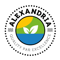 Brand Image 1